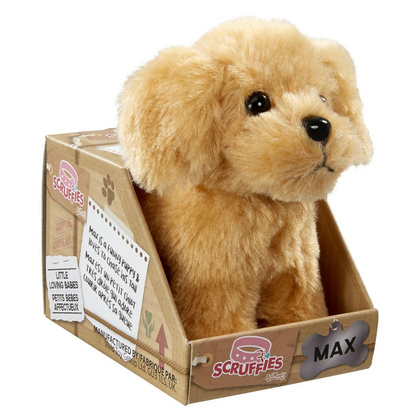 Scruffies Ljubki mladički – Max