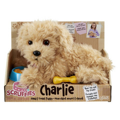 Scruffies Kuža Charlie