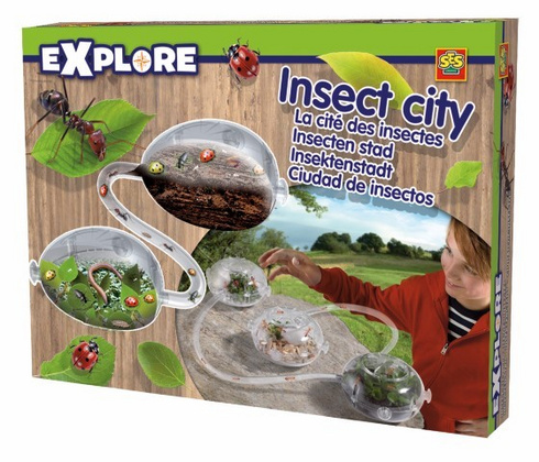 Ses Mesto insektov